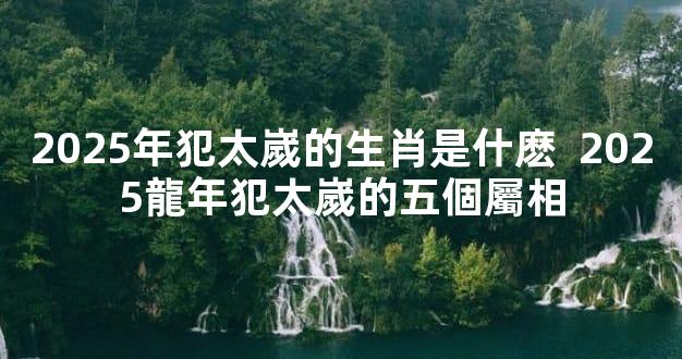 2025年犯太嵗的生肖是什麽  2025龍年犯太嵗的五個屬相